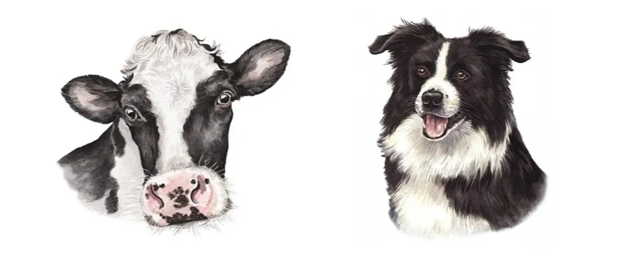 Christine 动物肖像插画